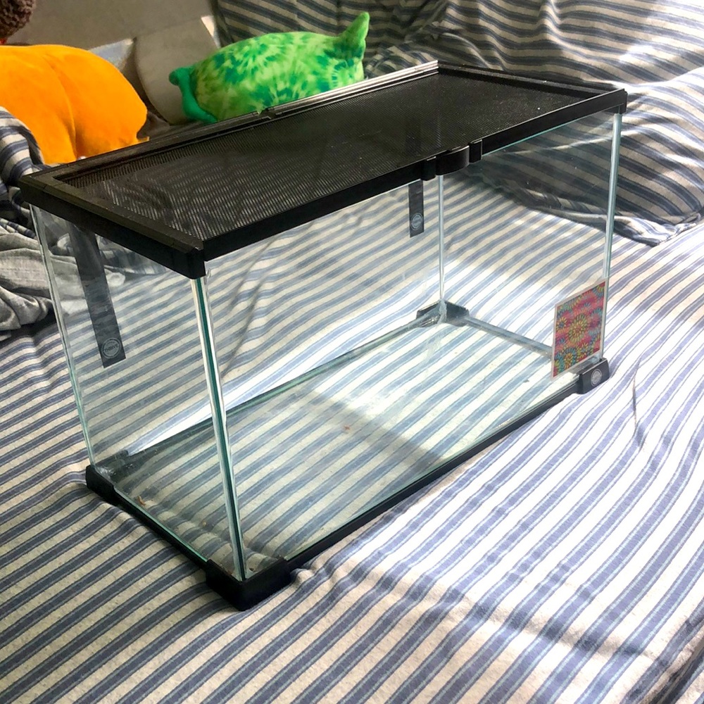 lizard tank